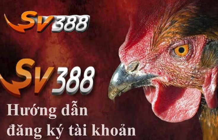 Hướng Dẫn Đăng Ký Tài Khoản Tại tk sv388